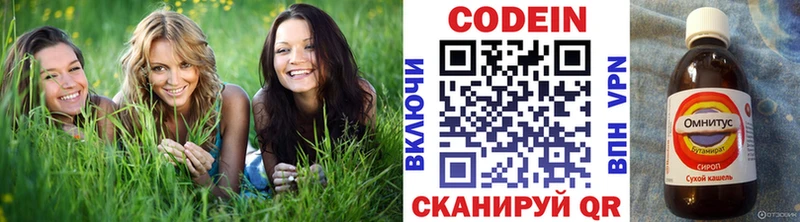 Кодеиновый сироп Lean Purple Drank  Купить  Коряжма 